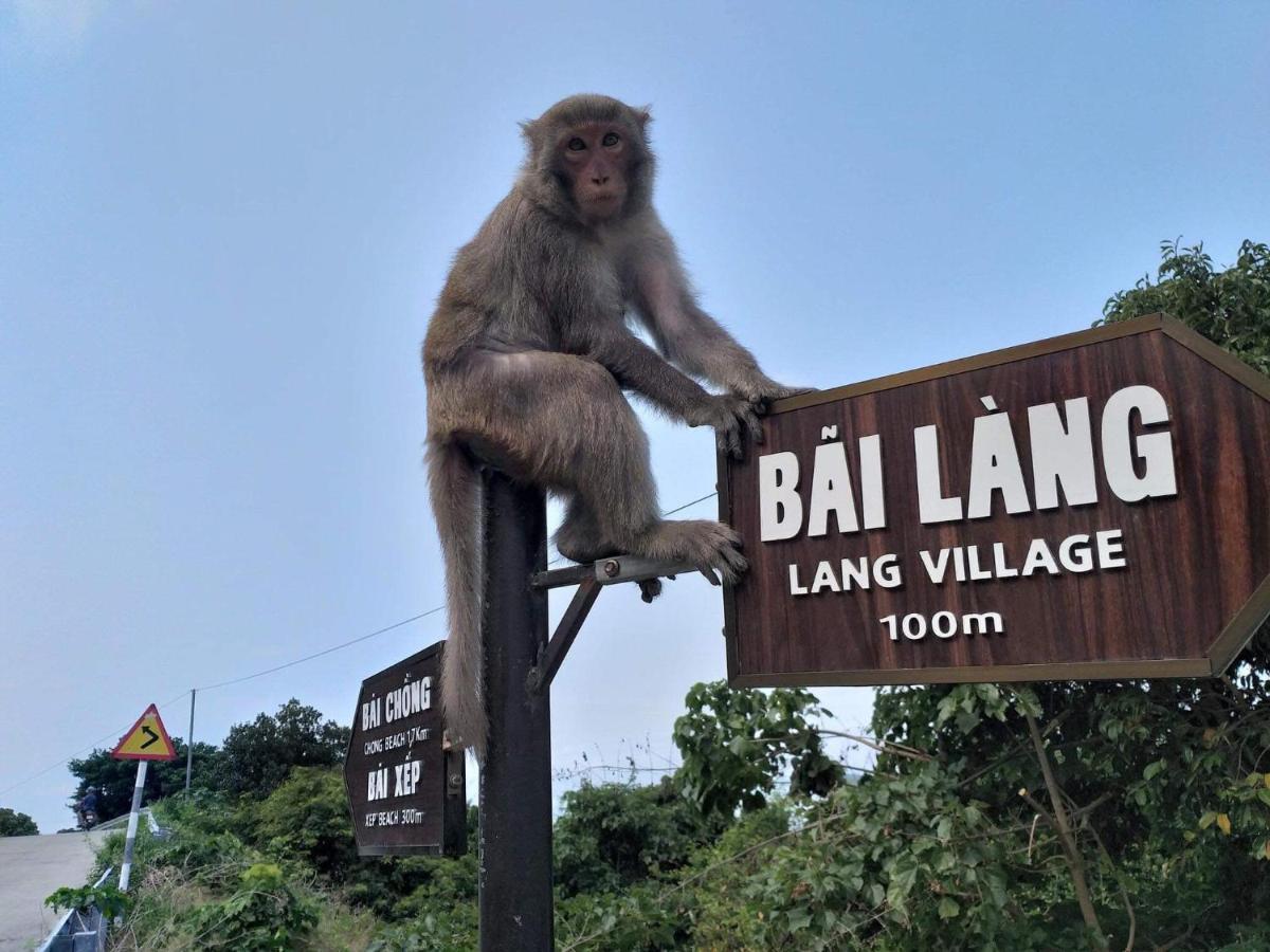 Monkeyland Cham Island Homestay Tân Hiệ Zewnętrze zdjęcie